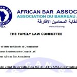 Model Reservations to the AU-CEVAWG