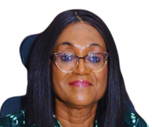 AfBA Conference Session 2 Explores Business And Human Rights In Africa’s Expanding Economy